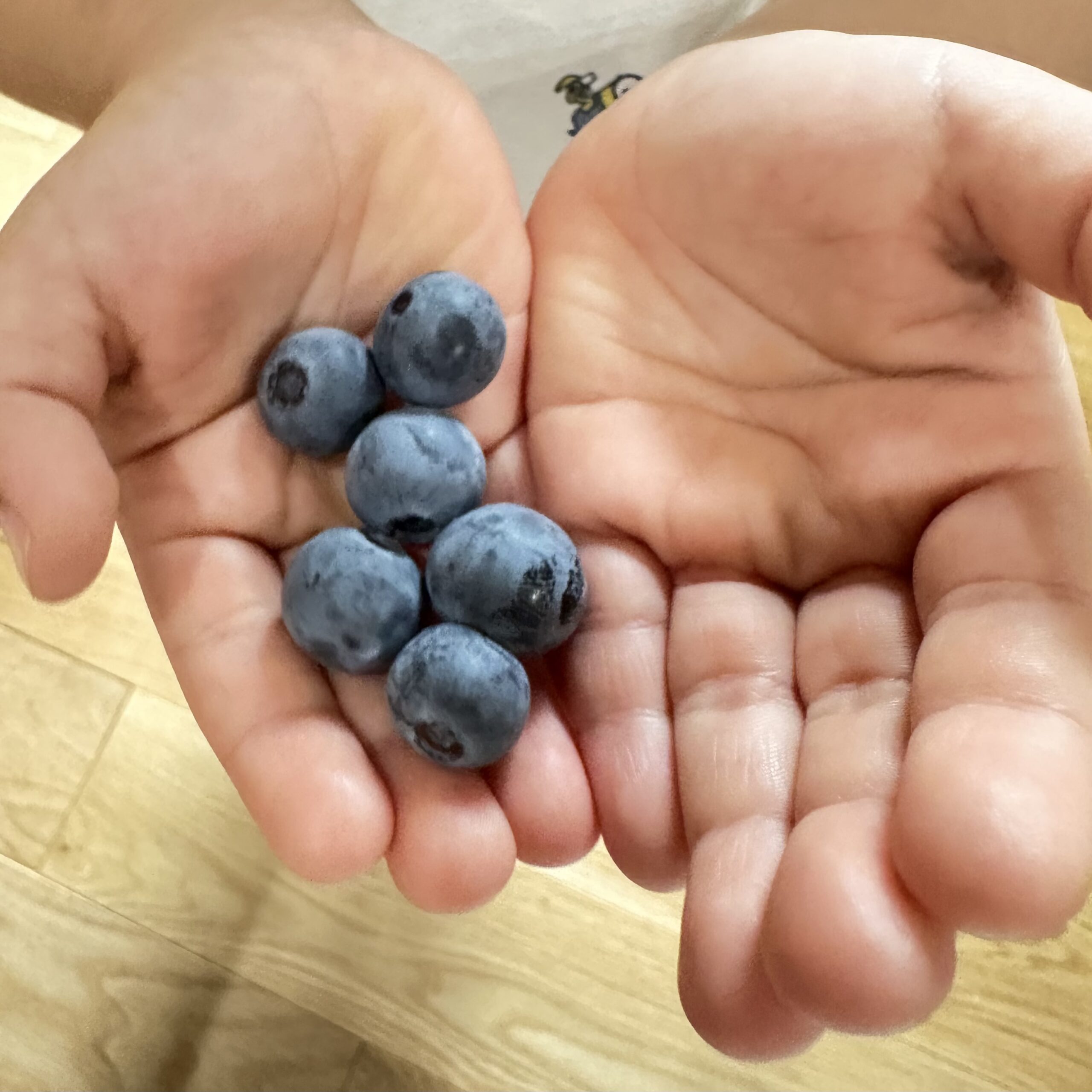 ブルーベリー ブライトウェル 2025夏