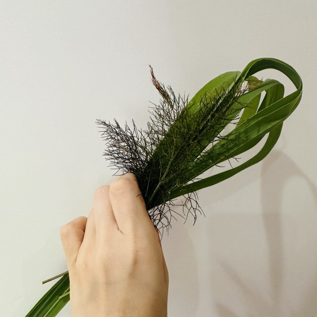 レモングラス　ブロンズフェンネル　ハーブ