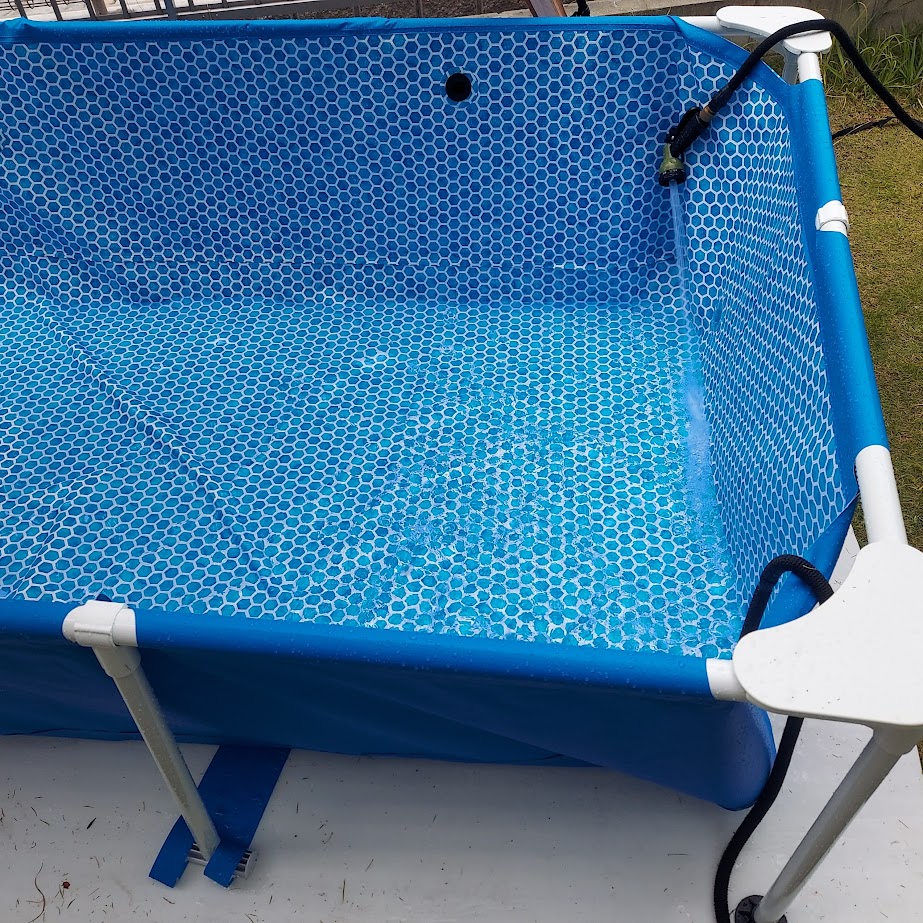 ＩＮＴＥＸ　プール２．６ｍ