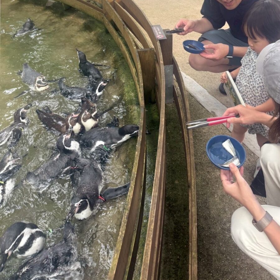 那須どうぶつ王国　夏休み