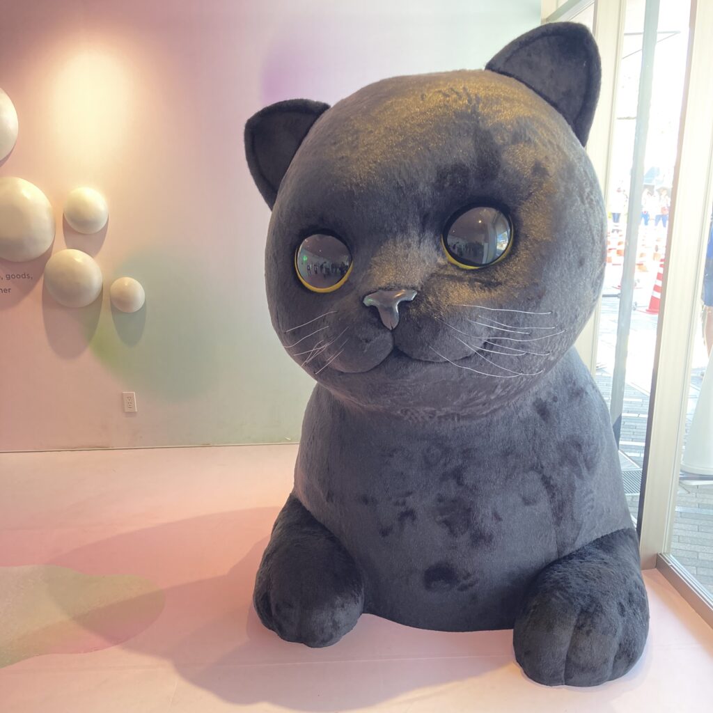 万博
クロネコヤマト