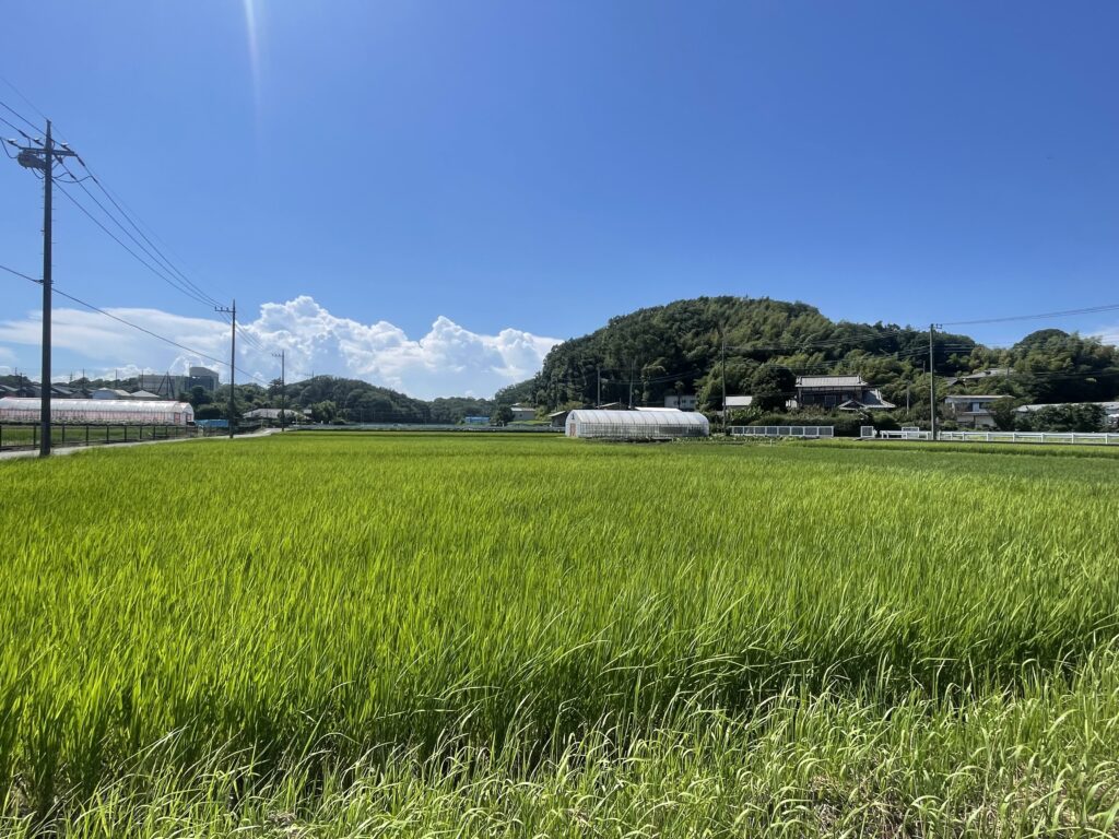 寺家ふるさと村の入口の風景。2025年7月撮影。