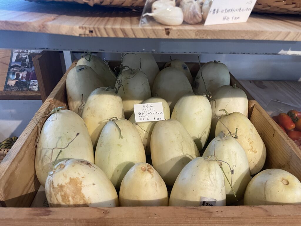 JIKE STUDIO　FARMで収穫された真桑瓜。メロンのルーツ。