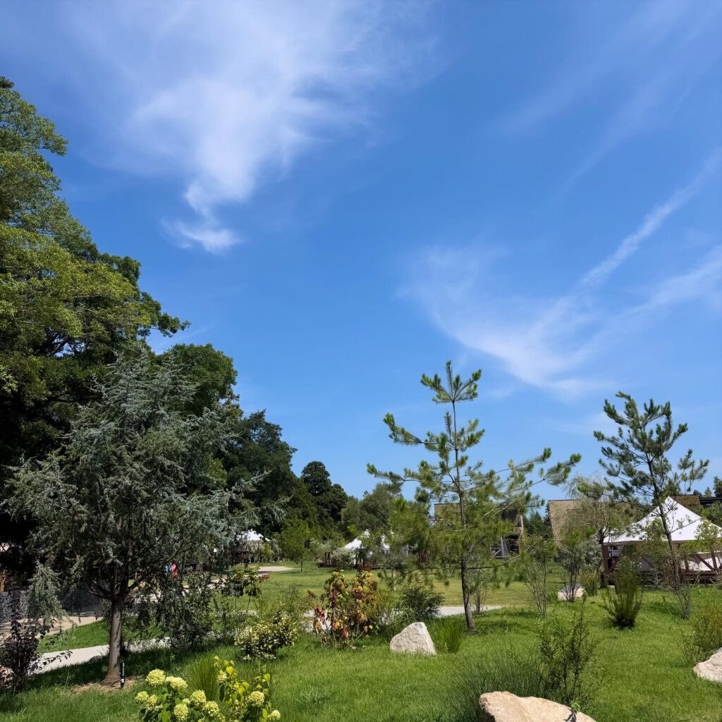 THE FARM スロウマウンテン成田