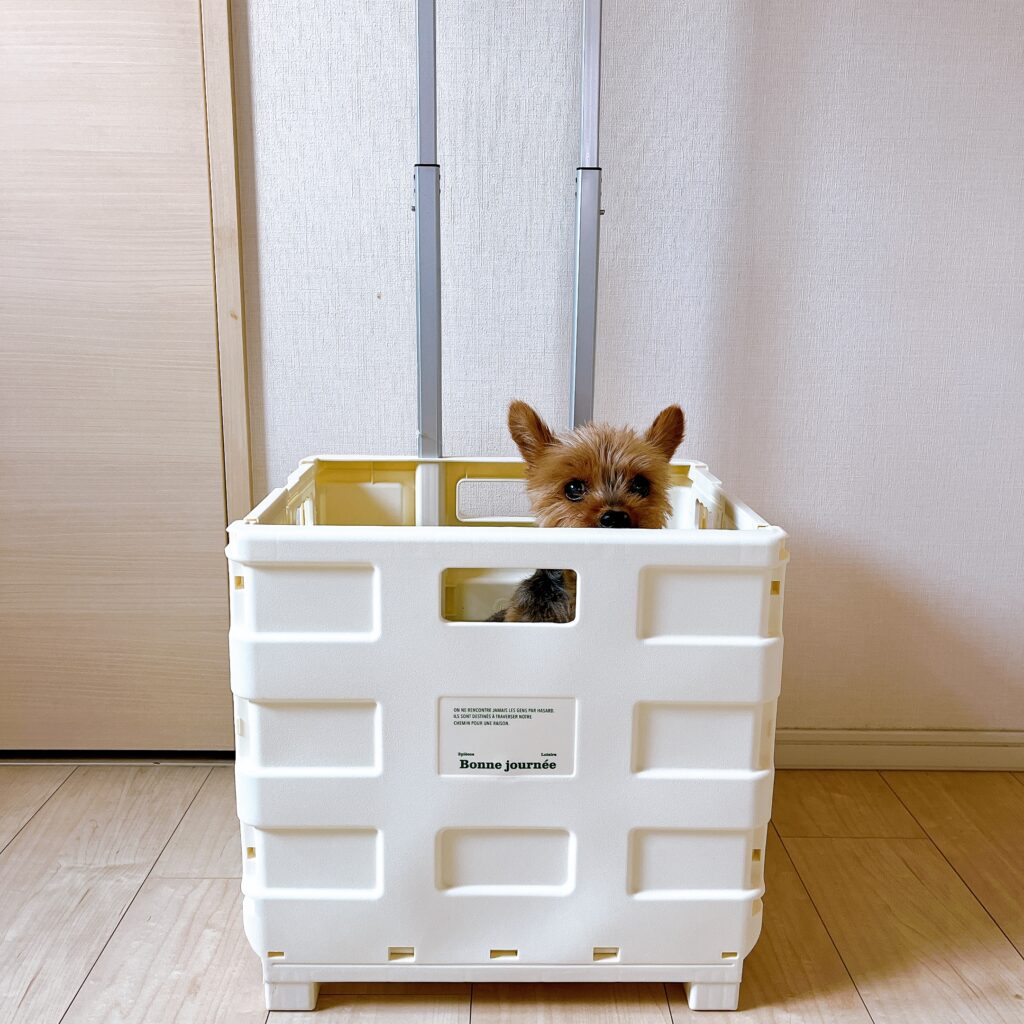 スリコ/折りたたみキャリーケース