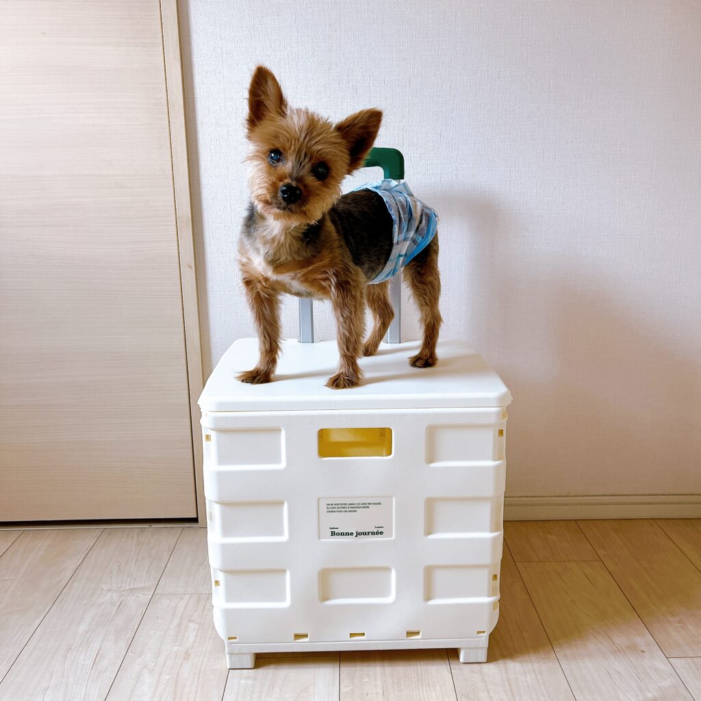 スリコ/折りたたみキャリーケース