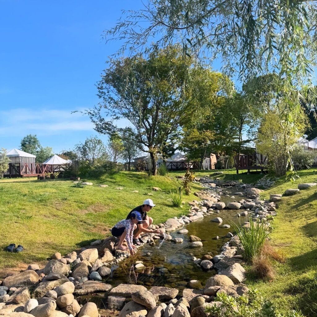 THE FARM スロウマウンテン成田