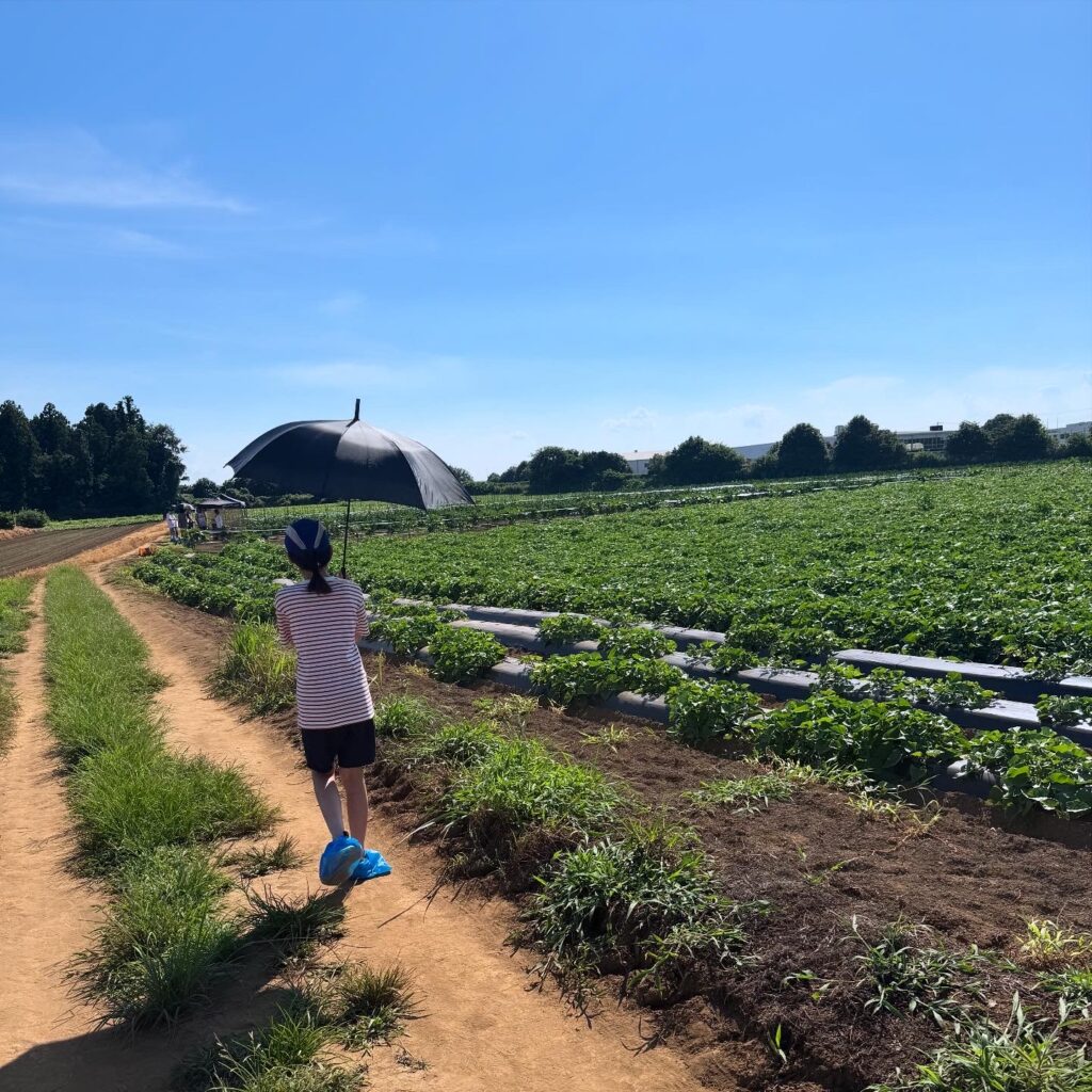 THE FARM スロウマウンテン成田