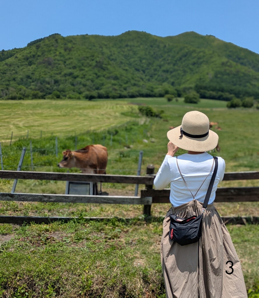 緑視率を高めるために、緑がいっぱいの牧場へ