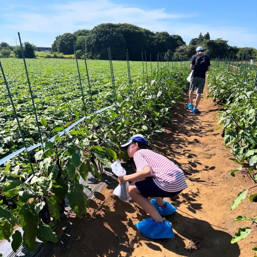 THE FARM スロウマウンテン成田