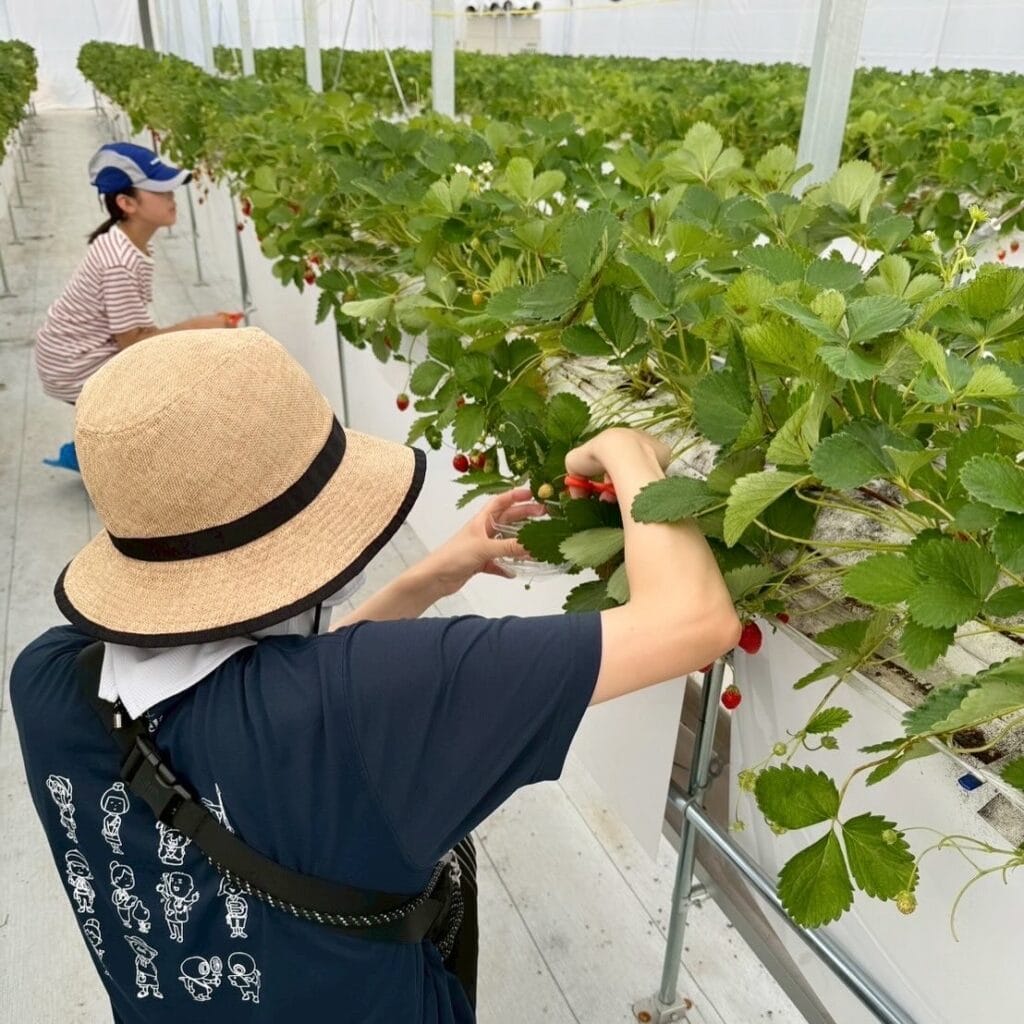 THE FARM スロウマウンテン成田