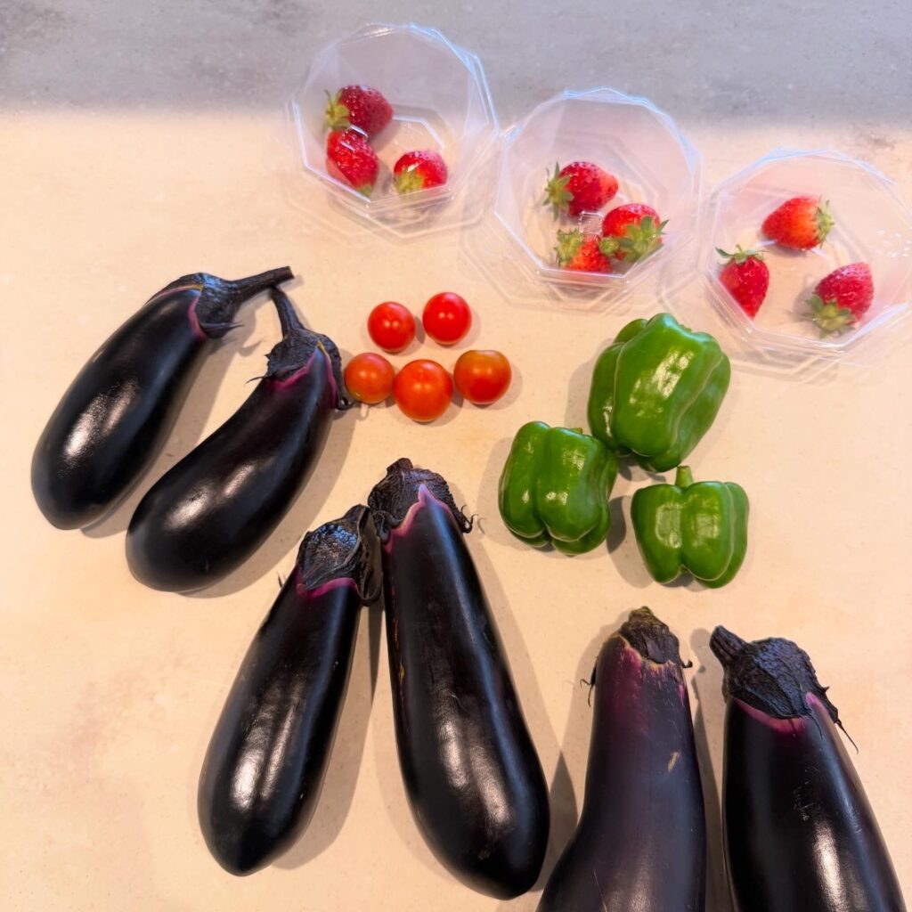 THE FARM スロウマウンテン成田