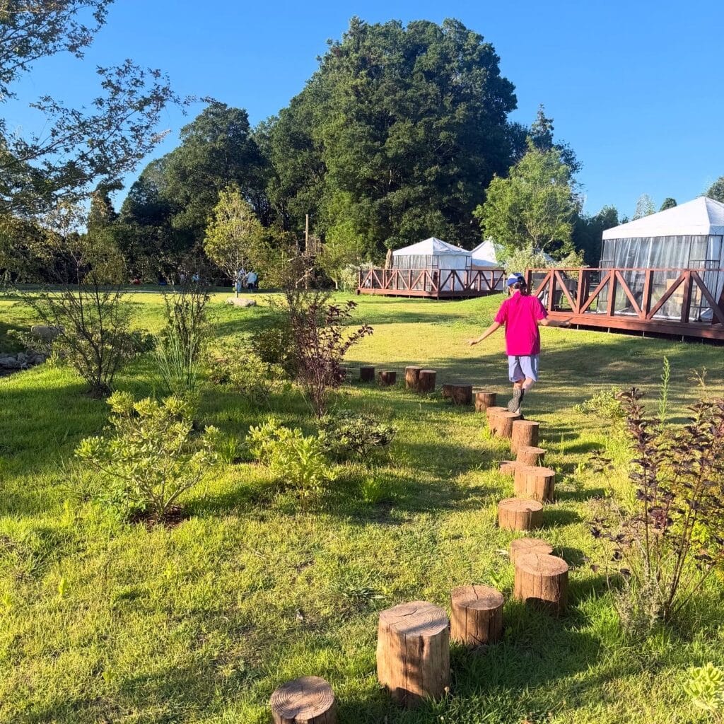 THE FARM スロウマウンテン成田