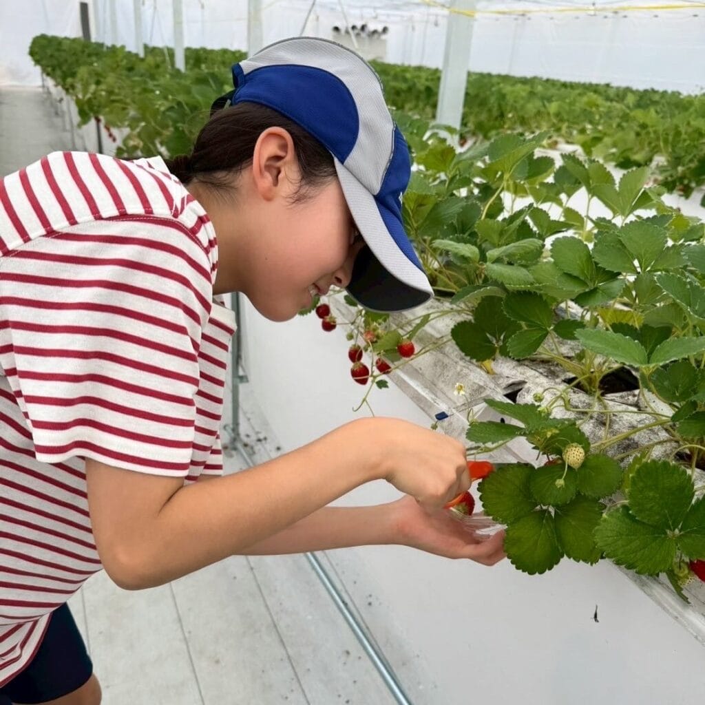 THE FARM スロウマウンテン成田