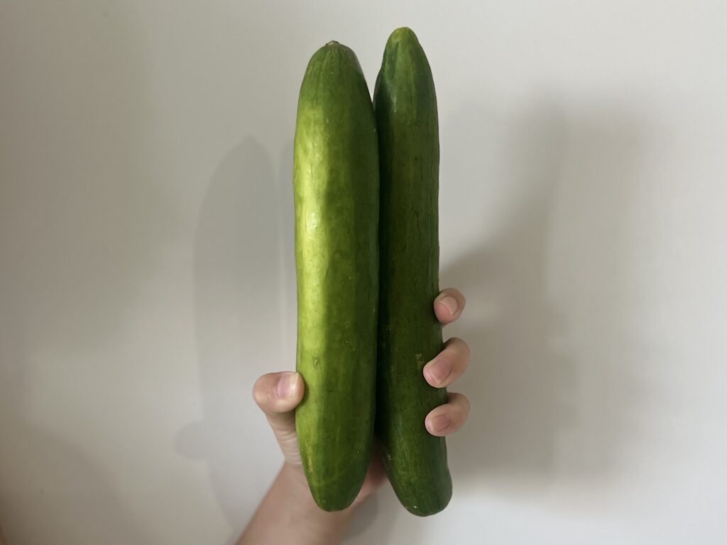 【LEEレシピ】夏にぴったり！榎本美沙さん直伝「簡単きゅうりのみそ漬け」\ TB icoco