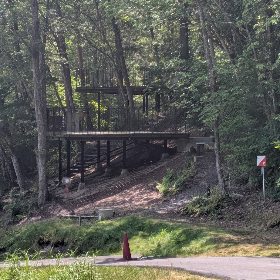 キャンプサイト　旭高原元気村　昆虫採集