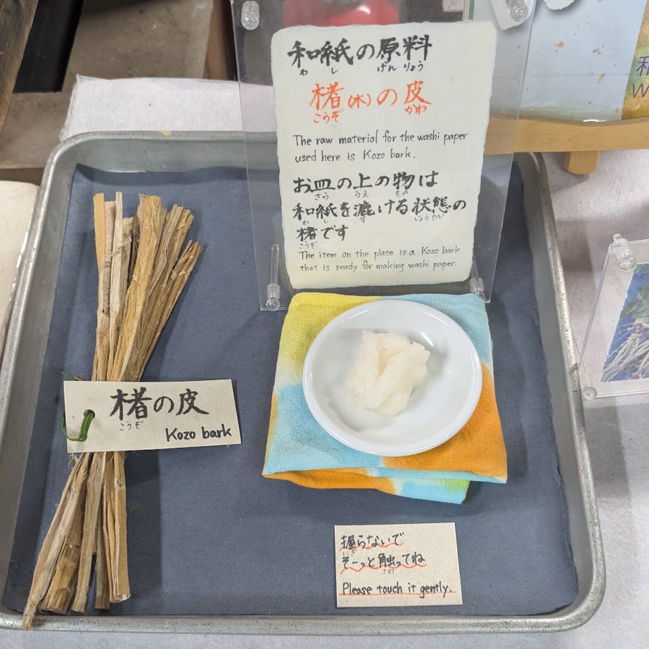 楮　和紙の原料　三州足助屋敷