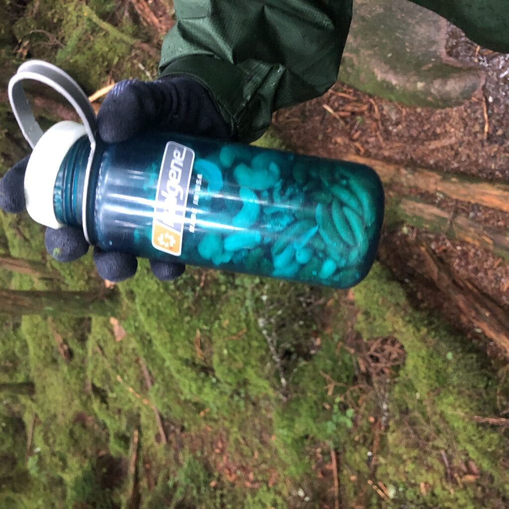 北八ヶ岳　麦草峠から高見石小屋　行動色