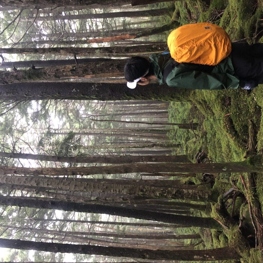北八ヶ岳　麦草峠から高見石小屋
