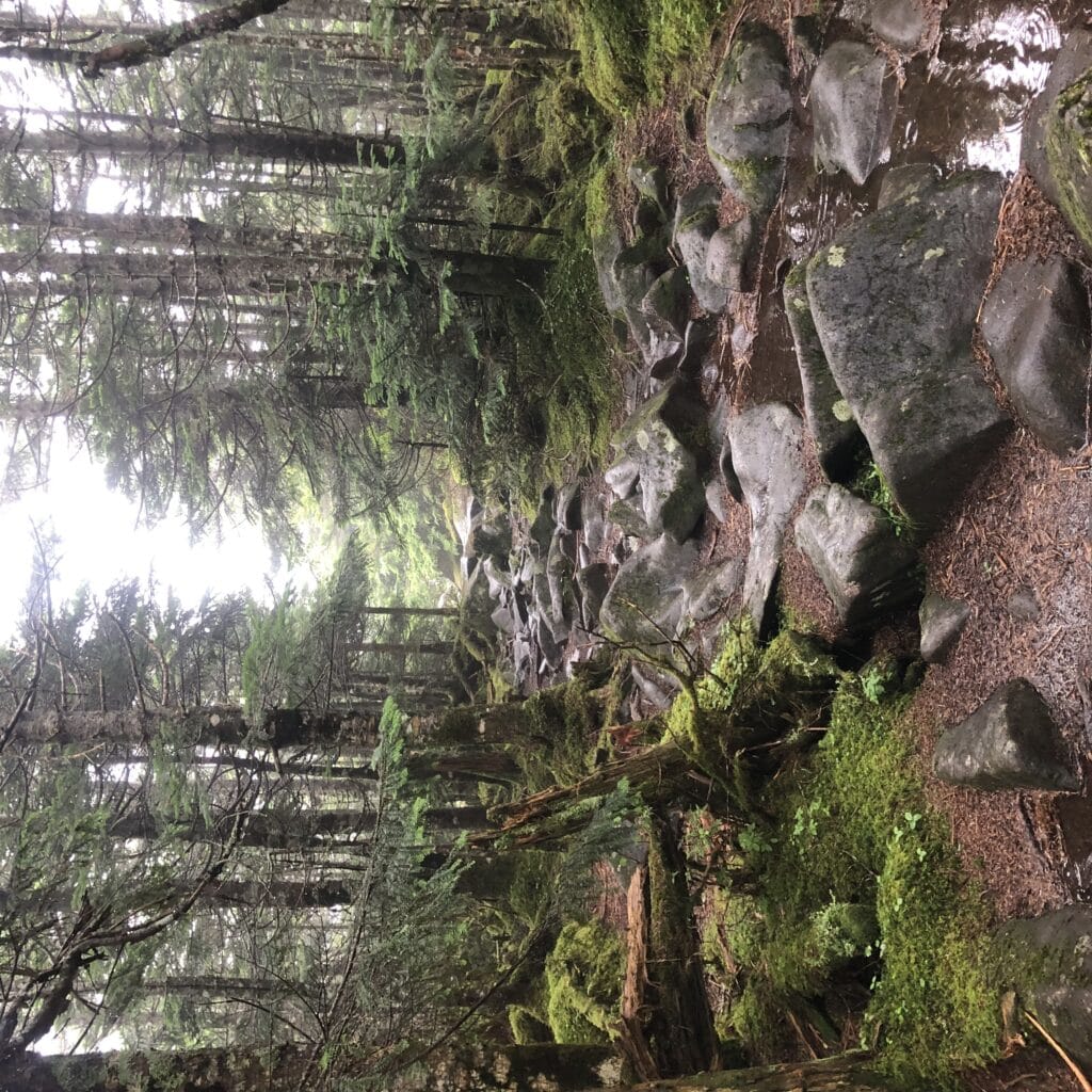 北八ヶ岳　麦草峠から高見石小屋