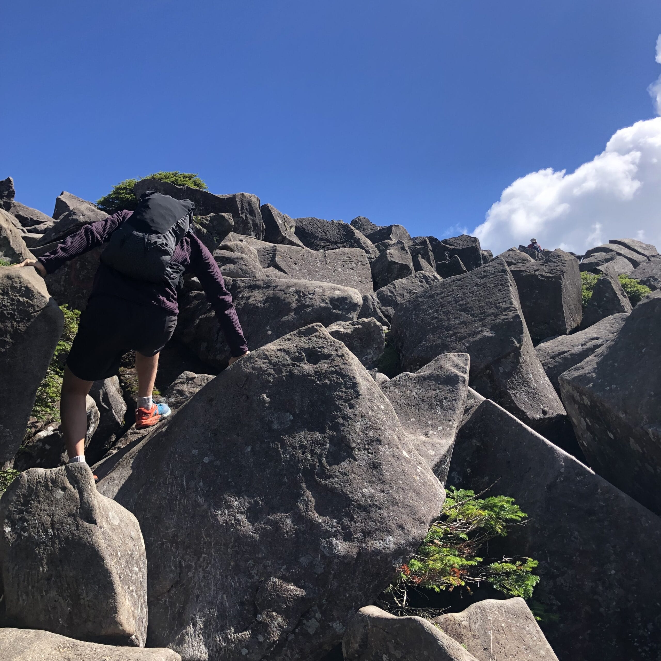 八ヶ岳　北　登山　高見石　白駒池　山登り　ハイキング　山小屋泊　黒百合ヒュッテ