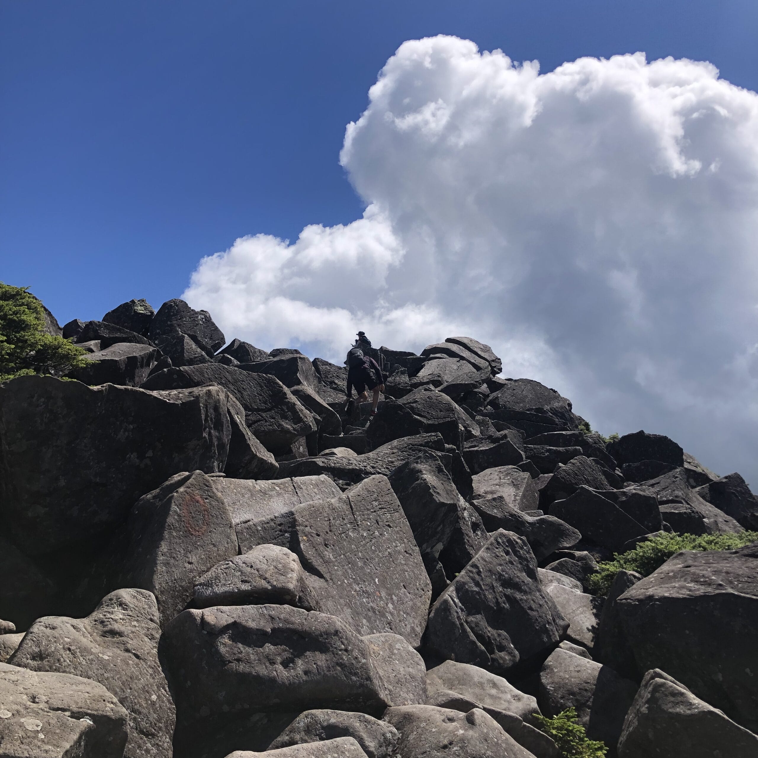 八ヶ岳　北　登山　高見石　白駒池　山登り　ハイキング　山小屋泊　黒百合ヒュッテ