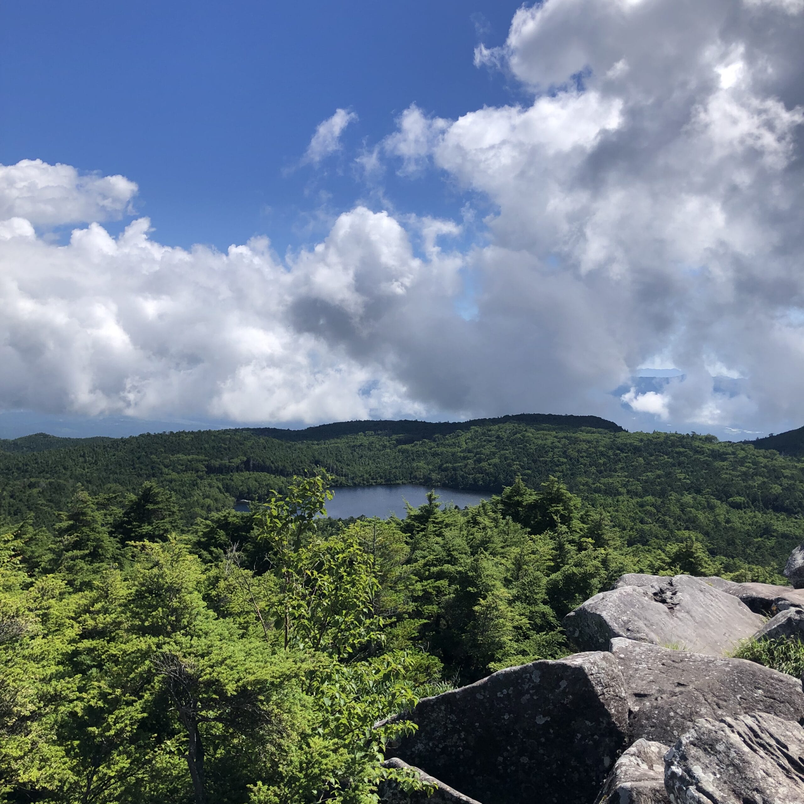 八ヶ岳　北　登山　高見石　白駒池　山登り　ハイキング　山小屋泊　黒百合ヒュッテ