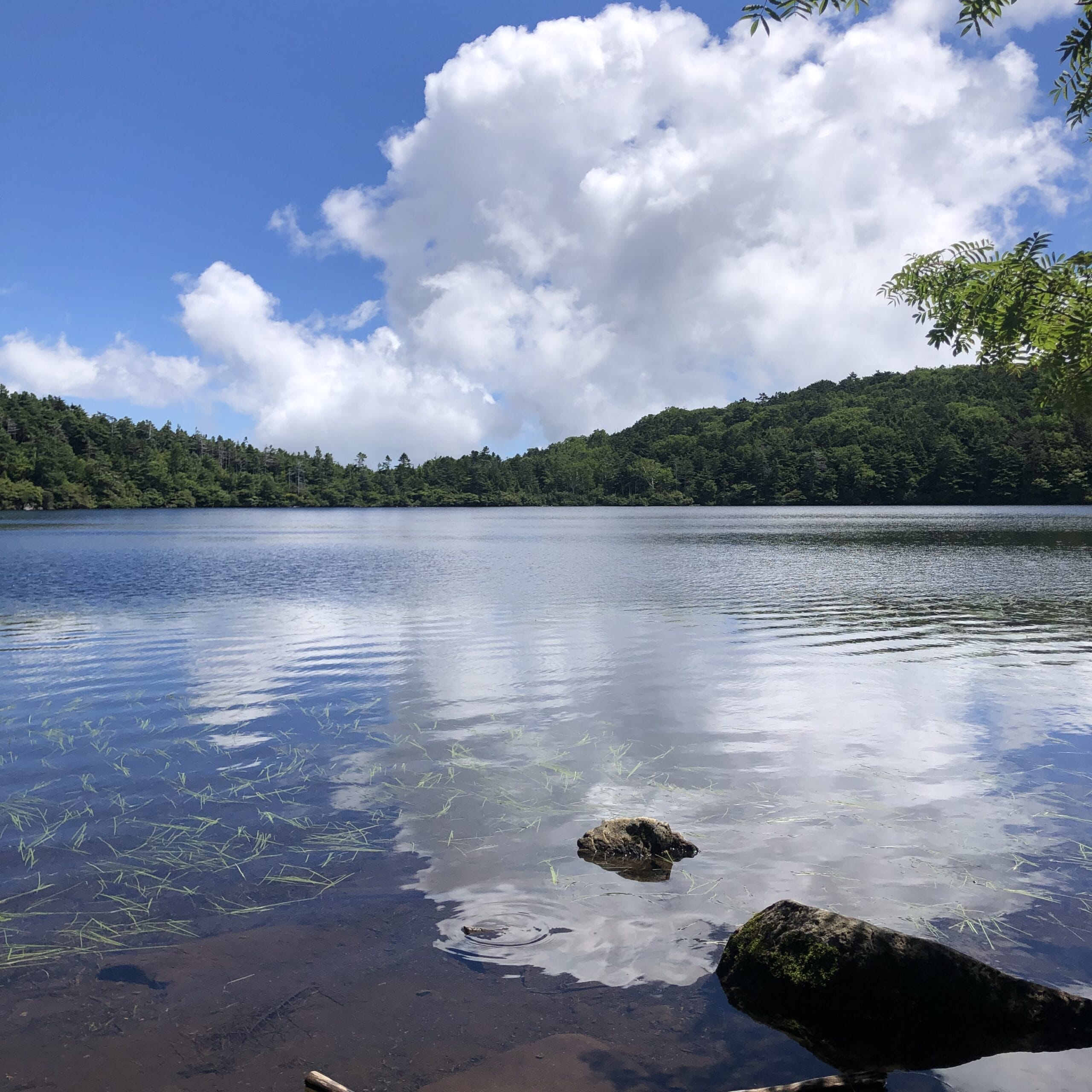 八ケ岳　白駒池