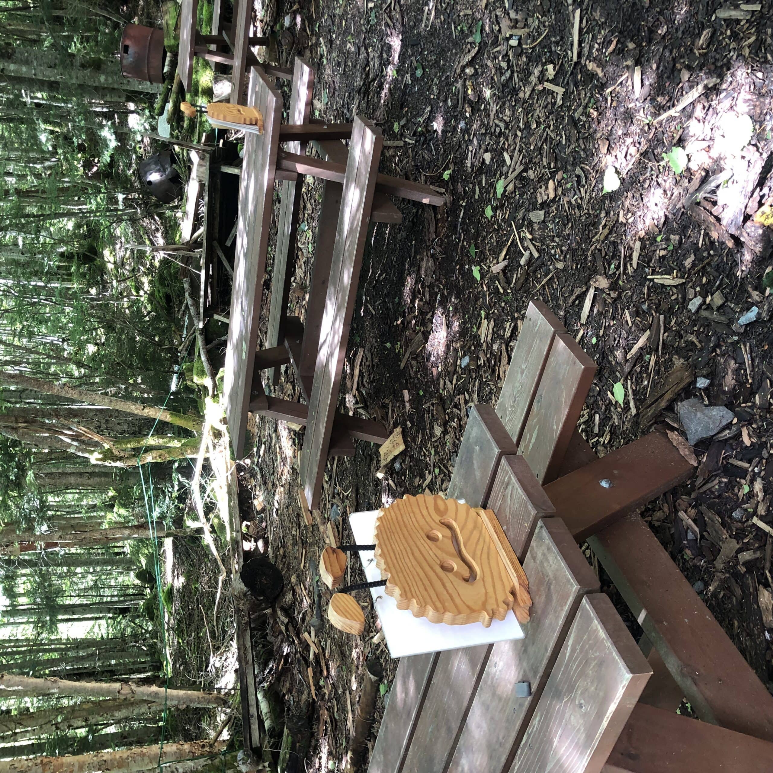 八ケ岳　白駒池