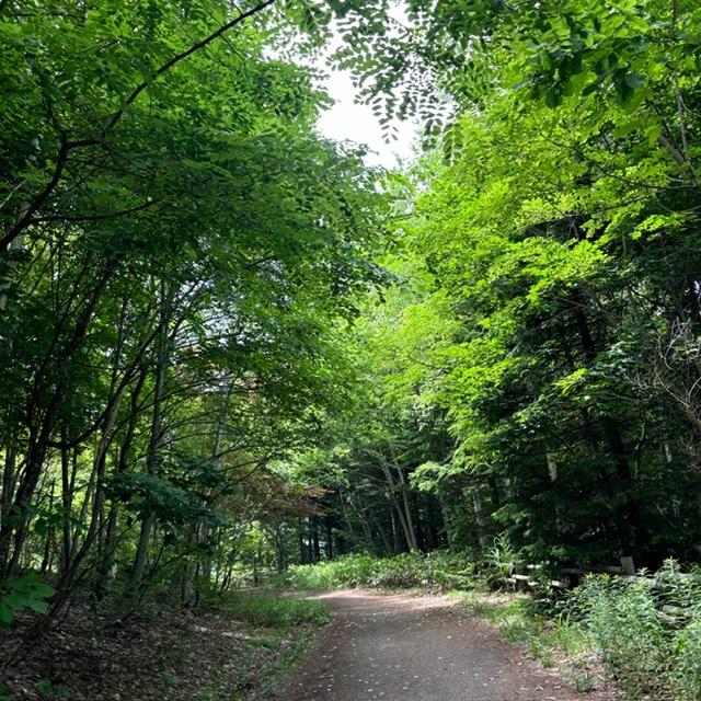 滝野すずらん公園内の写真