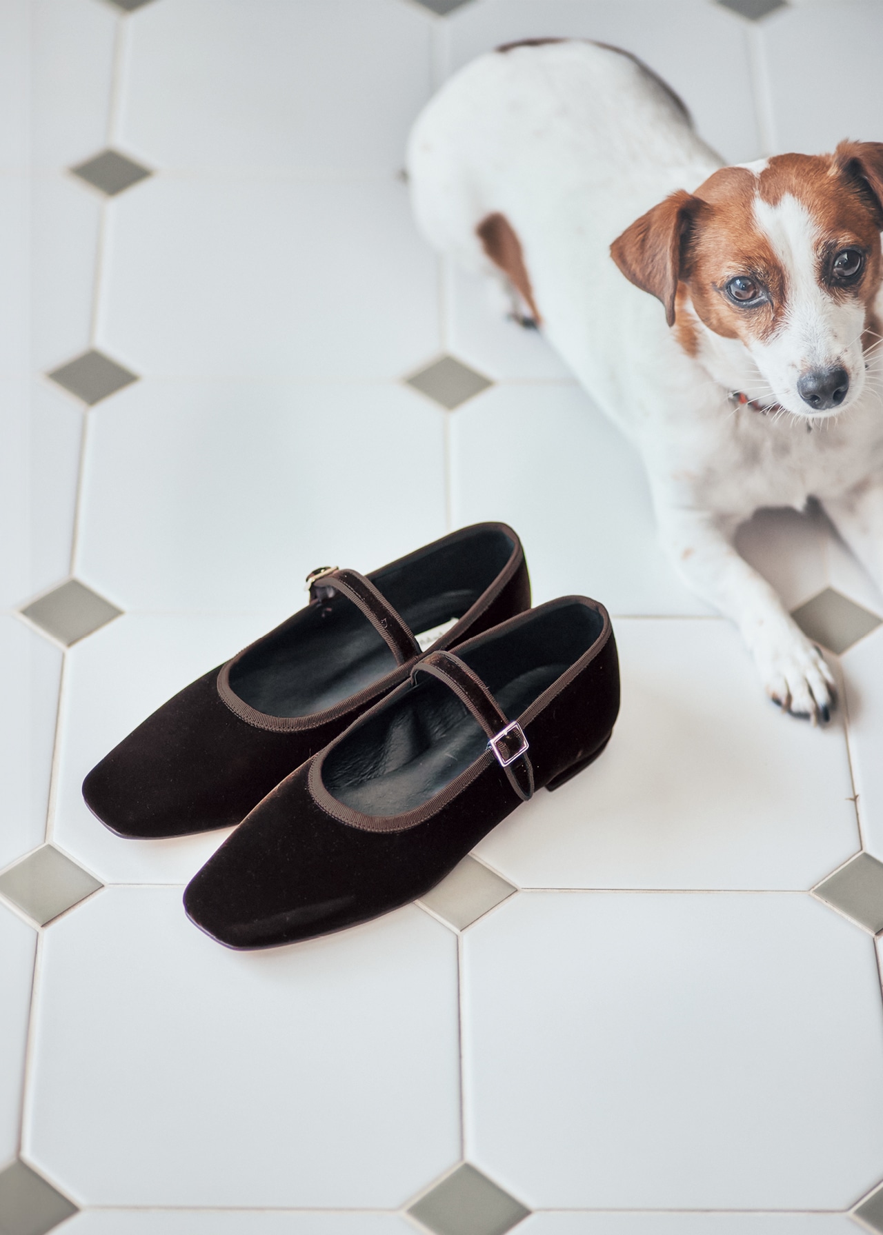 LEE限定 Oblada（オブラダ）OBLADA MARY JANE（VELOR）（ベロアメリージェーンシューズ）