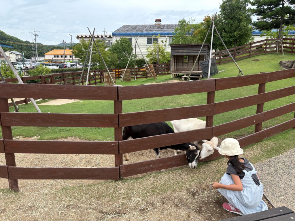 広島　HAKKOパーク　発酵食品