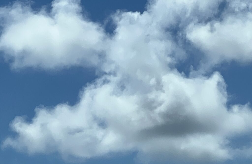 おうちで挑戦！沖縄ご当地グルメ「いなりとチキン」TB icoco