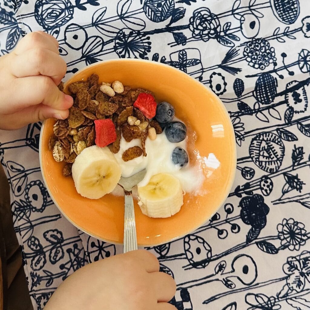 ケロッグ　素材まるごとグラノラ 脂質70％オフ 華やぐフルーティショコラ 子どものおやつ