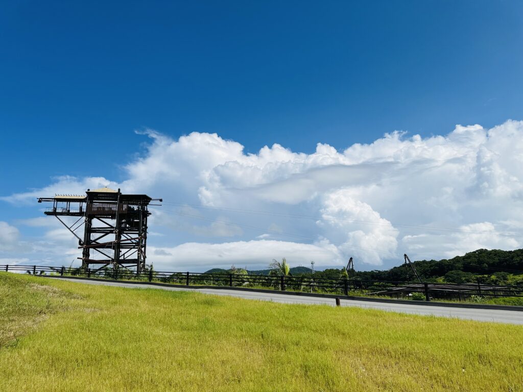 ジャングリアのスカイフェニックス