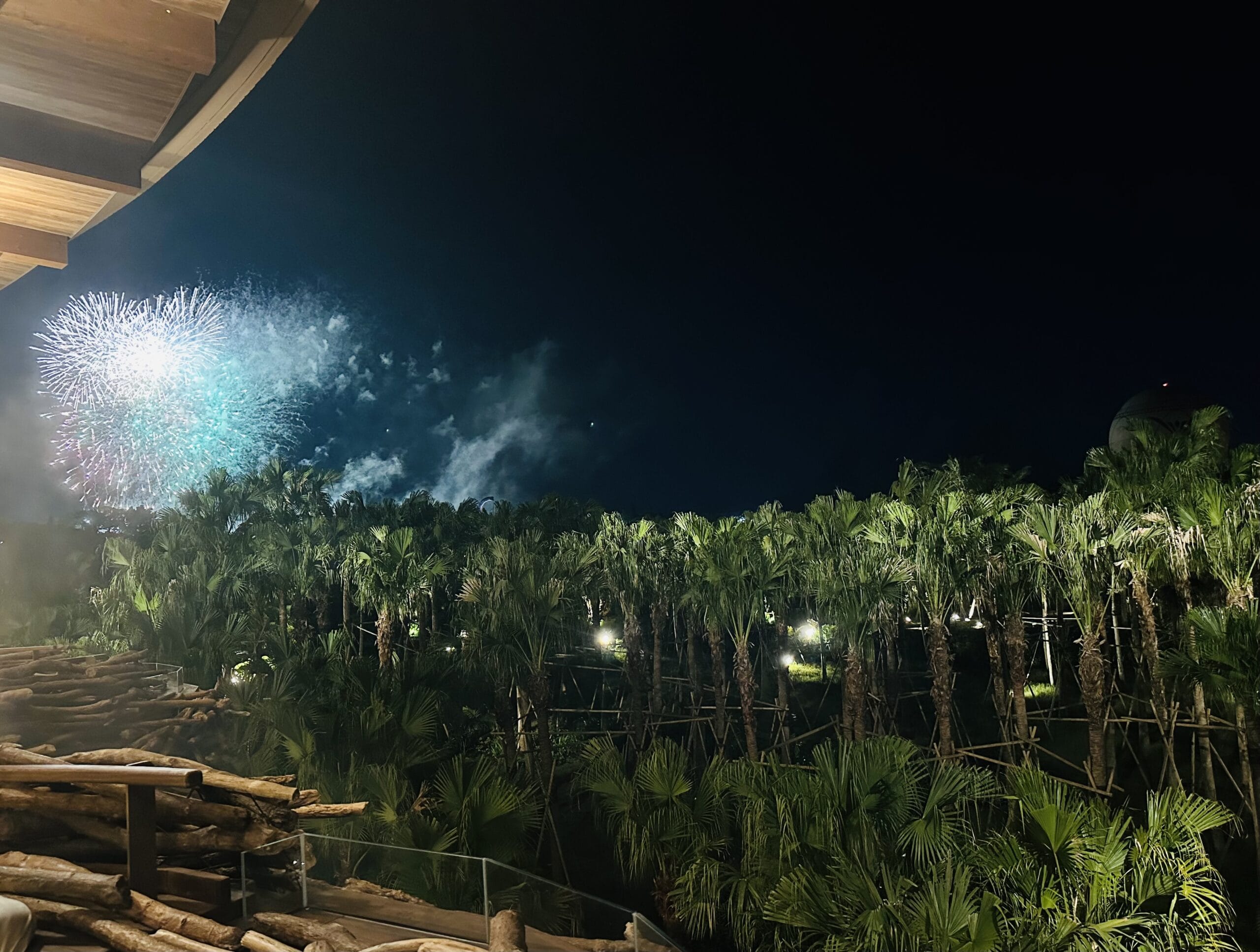 ジャングリアの夜のフェスの花火