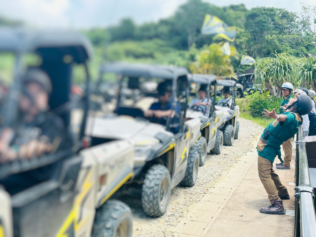 ジャングリアの「BUGGY VOLTAGE（バギー ボルテージ）」