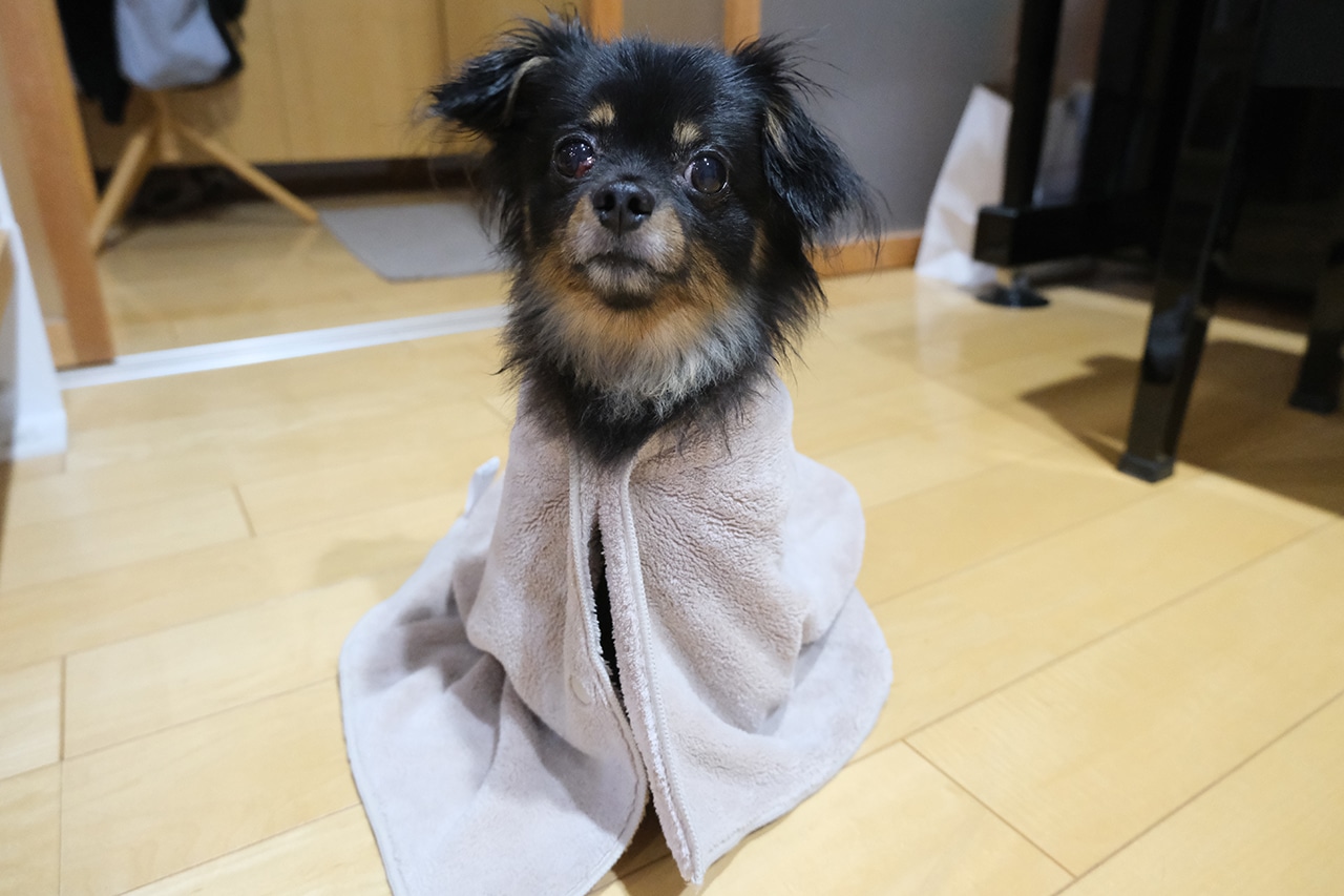 インテリアに溶け込むシンプルカラーがさすが
