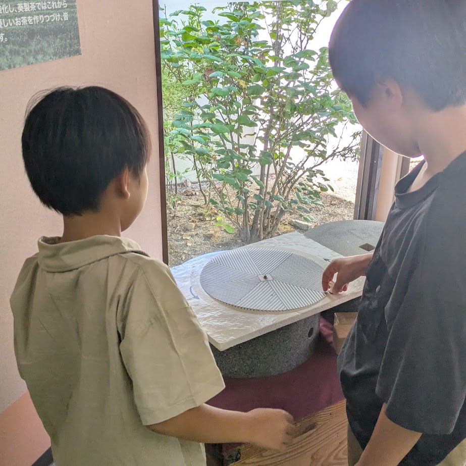 石臼ひき　抹茶　西尾