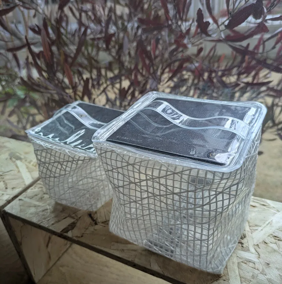 Landport「CARRY THE SUN（キャリー・ザ・サン）」2個集合