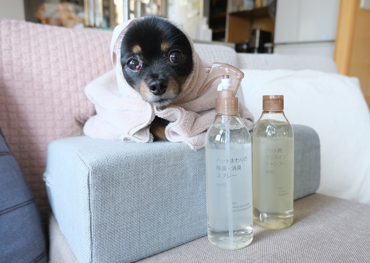 無印良品のペット用品─犬編─ 新作3品をレビュー