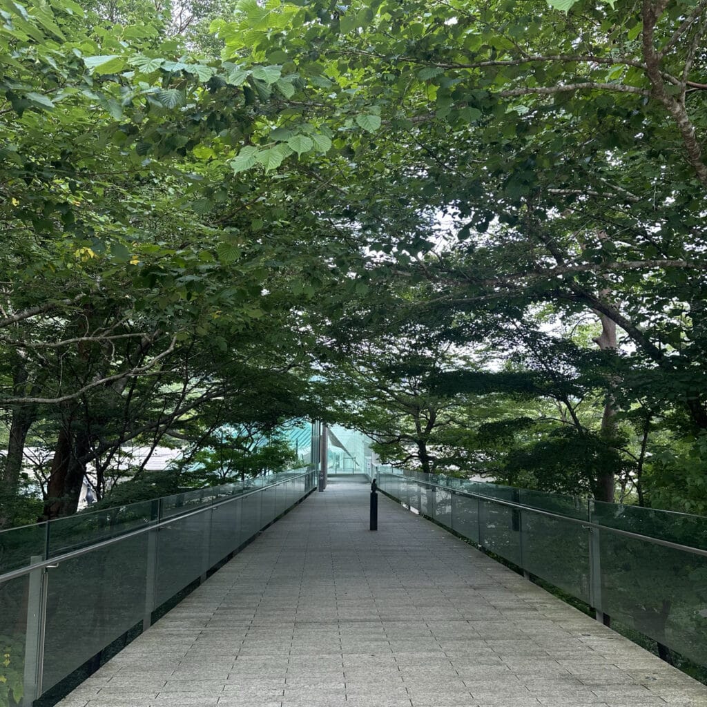 【神奈川・箱根】ポーラ美術館「ゴッホ・インパクトー生成する情熱」