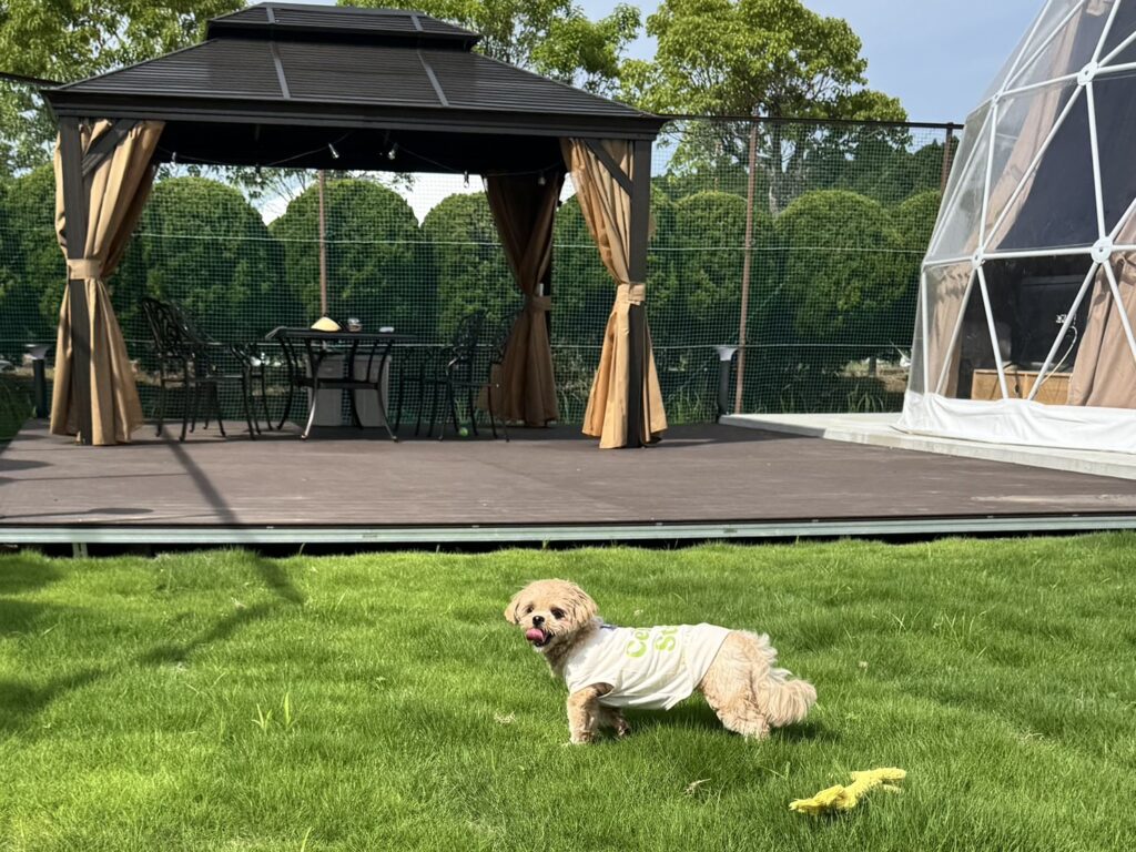 UE GARDEN RESORT　犬