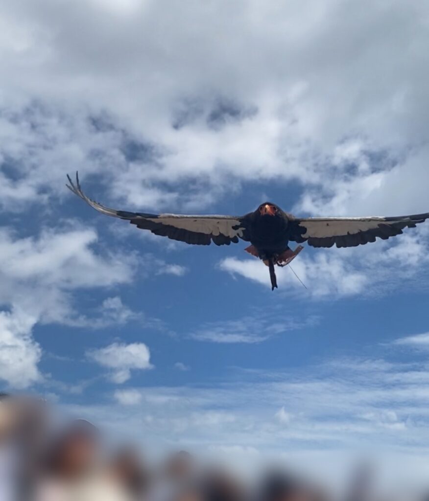 栃木　那須どうぶつ王国