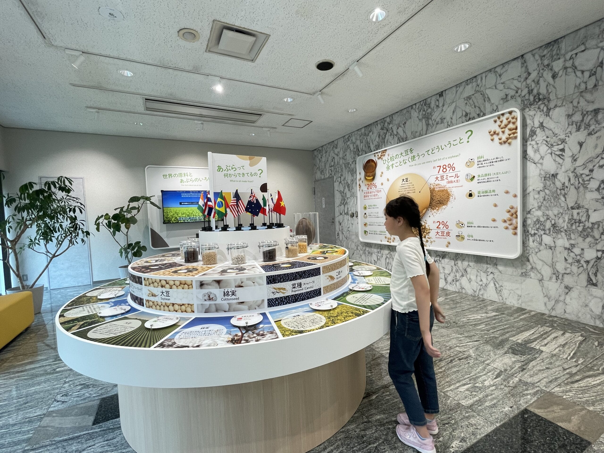 日清オイリオの「あぶらミュージアム」内、「あぶらって何からできているの？」コーナー。