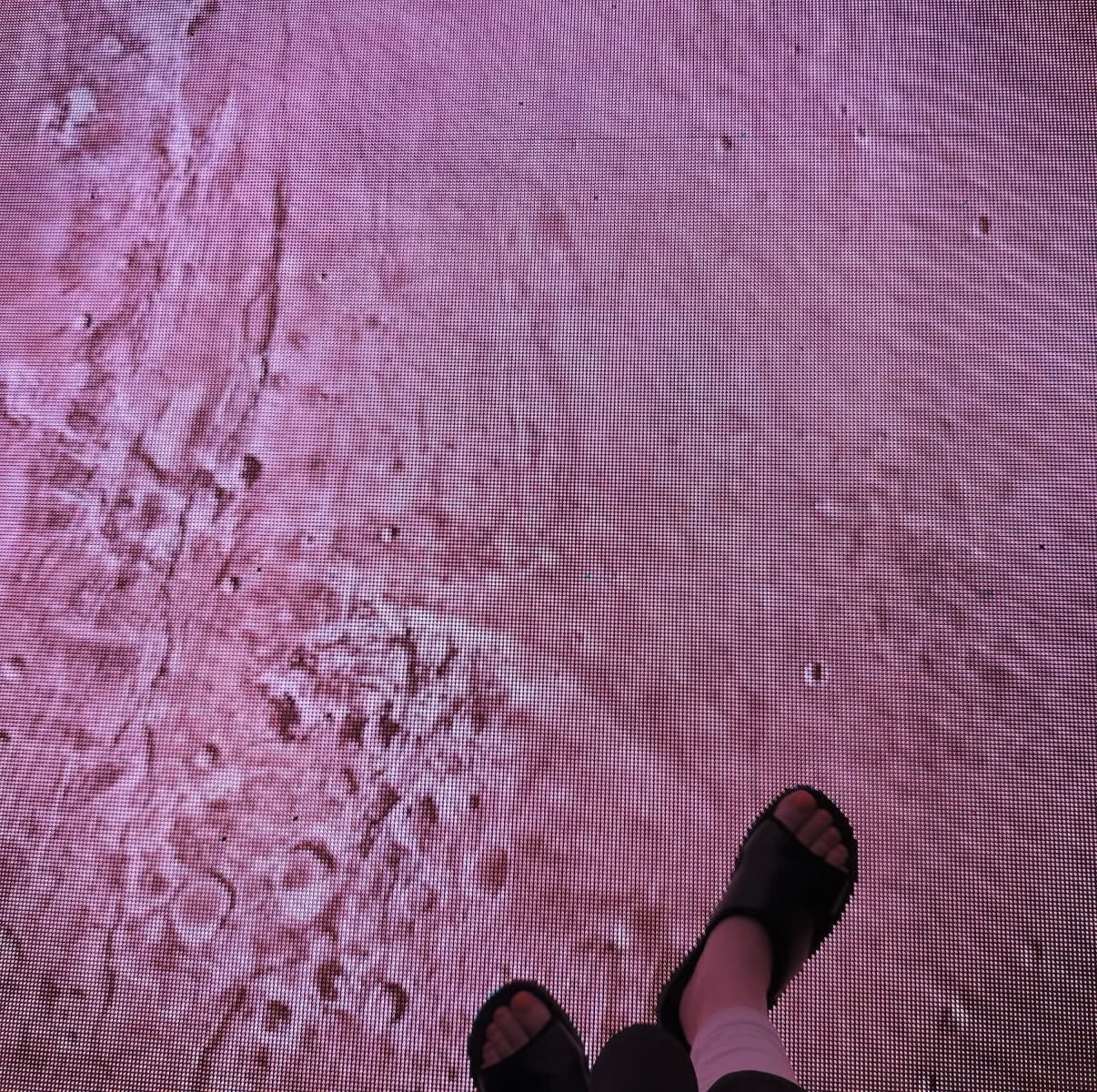 日本科学未来館 深宇宙展