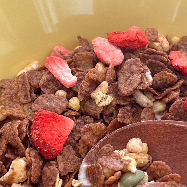 素材まるごとグラノラ 脂質70％の具がわかるアップ写真