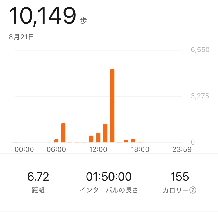 ウォーキング 歩数 カロリー