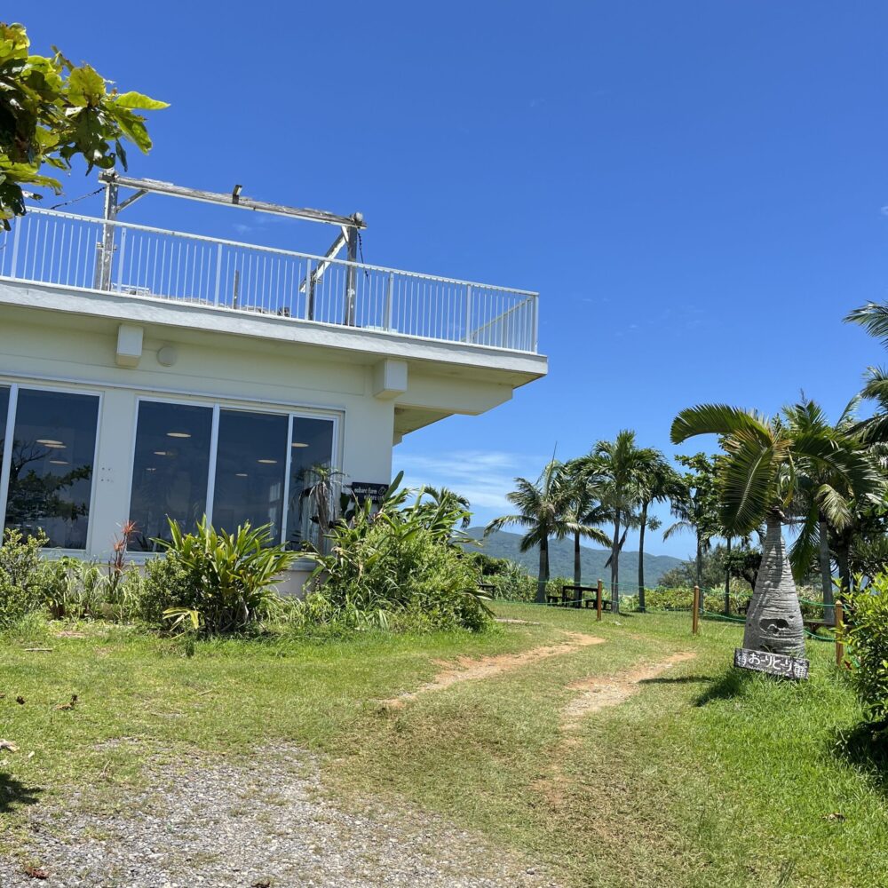 石垣島　のばれカフェ　沖縄そば