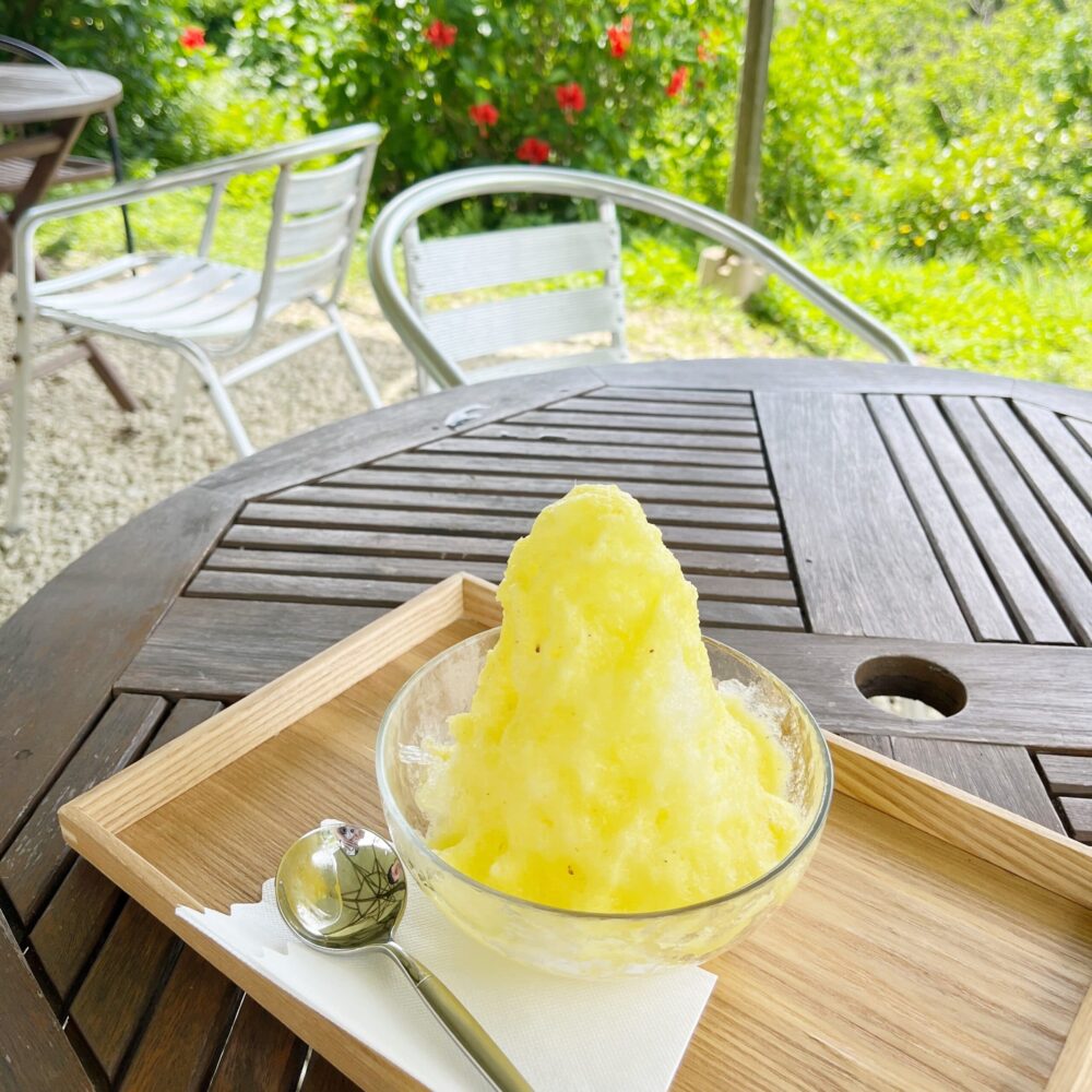 石垣島　宮良農園　かき氷